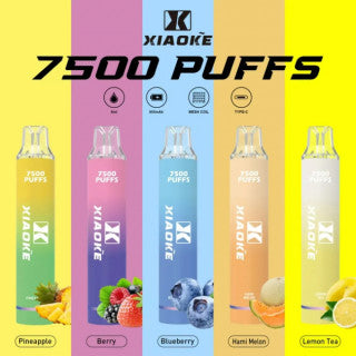 XIAOKE梟客拋棄式電子煙 | 7500口 | 免充電免填充 | 多種口味 | 長效便捷